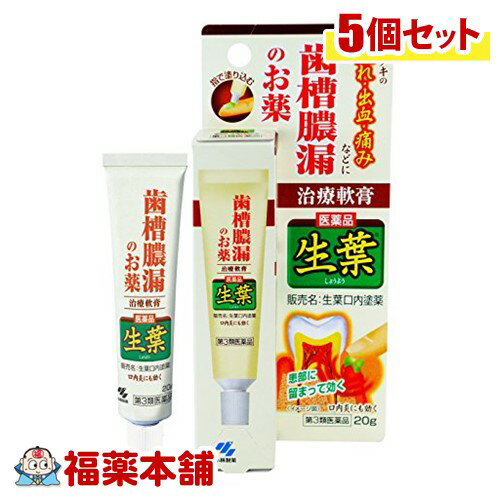 【第3類医薬品】小林製薬 生葉 口内塗薬(20g) ×5 [ゆうパケット・送料無料]