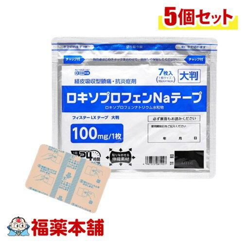 【第2類医薬品】テイコクファルマケア フィスター LXテープ 大判 7枚入×5個 [ゆうパケット・送料無料]