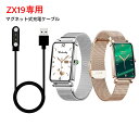 スマートウォッチ 充電ケーブルZX19 NY22 QC19 ZX20 QS40 Y5 専用 マグネット磁気 (2ピン間の距離は2.84mm) USB充電ケーブル スマートブレスレット USB充電器 送料無料