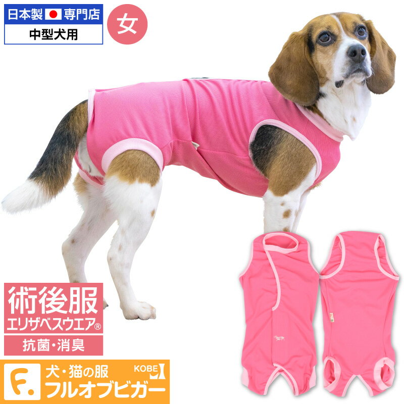 【エリザベスカラーの代わりになる】獣医師推奨 犬用術後服エリザベスウエア(R)(女の子 雌/中型犬用)【ネコポス値3】【日本製 国産 避妊 去勢 乳腺腫瘍 手術 犬服 ドッグウェア 柴犬 ビーグル フレンチブル テリア コリー 介護服】【犬の服 full of vigor フルオブビガー】