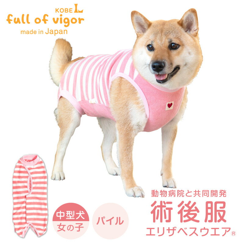 スキップドッグ! サニタリーパンツ ボーダー 犬 の マナー サニタリー パンツ マナーパンツ バンド チワワ 小型犬 プードル ヒート 生理 出血 ナプキン 吸収 女の子 メス 雌 カバー オムツ ショーツ かわいい 小さい 避妊 介護 ペットグッズ 犬用品 ペット用品