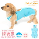 【動物病院と共同開発 獣医師推奨】full of vigor 犬 術後服 エリザベスウェア 男の子