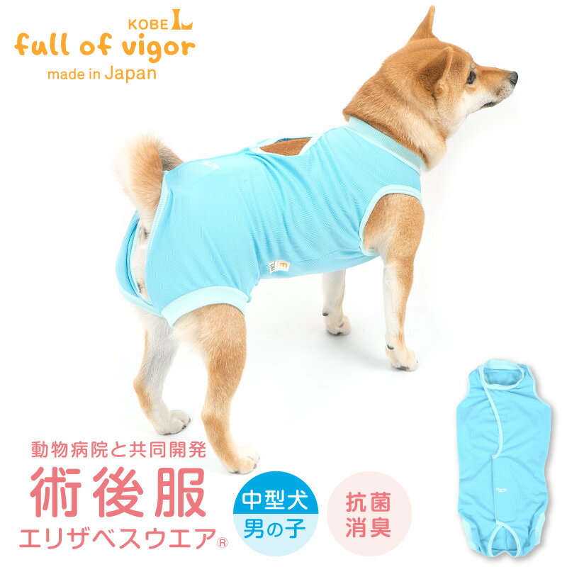 楽天full of vigorエリザベスカラーの代わりに　犬用術後服エリザベスウエア（R）（男の子 雄/中型犬用）【ネコポス値3】獣医師推奨 日本製 国産 避妊 去勢 乳腺腫瘍 手術 犬服 ドッグウェア 柴犬 ビーグル テリア コリー 介護服 犬の服 full of vigor フルオブビガー