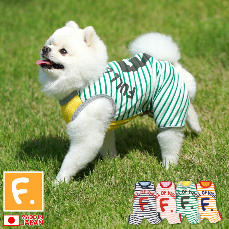 小型犬 チワワ 夏服という奇跡