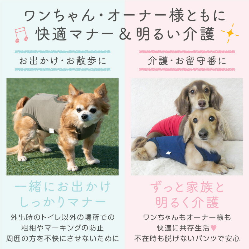 【ズレない！脱げない！漏れない！】ベア天介護服マナーガード(R)(男女兼用/ダックス・小型犬用)【ネコポス値2】【日本製 国産 純正品 介護 マナーパンツ サニタリーパンツ おむつカバー マーキング防止 生理対策 お漏らし 犬服 ドッグウエア チワワ トイプードル ペット服】