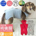 【エリザベスカラーの代わりになる】獣医師推奨 犬用 F.ベア天竺術後服エリザベスウエア(R)(女の子 雌/ダックス・小型犬用)【ネコポス値2】【日本製 国産 避妊 去勢 乳腺腫瘍 手術 犬服 ドッグウェア チワワ トイプードル パグ 介護】【犬の服 フルオブビガー】