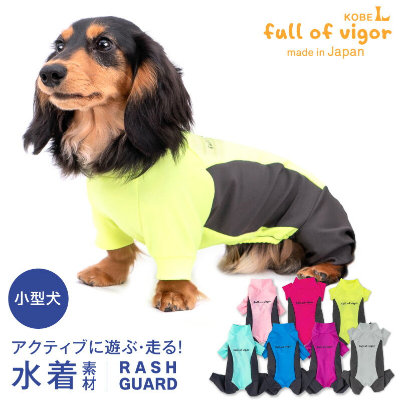 サイド切替ラッシュガード(ダックス・小型犬用)日本製 水着 ドッグウェア ダックス 犬の服 フルオブビガー ドッグプレイ(R) 春 夏 秋 冬