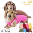 楽天full of vigor犬 服 シンプルベア天袖なしお部屋着（ダックス・小型犬用）【ネコポス値2】犬服 ドッグウエア カバーオール オールインワン ロンパース チワワ トイプードル シーズー マルチーズ ペット服 春 夏服 秋 冬 可愛い 着せやすい 犬の服 full of vigor フルオブビガー