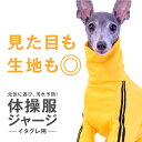 ドッグプレイ(R)体操服ジャージつなぎ(イタグレ用)【ネコポス値3】【国産 犬服 ドッグウエア カバーオール オールインワン イタグレ ウィペット ペット服 秋 冬服】【犬猫の服 full of vigor フルオブビガー】 2