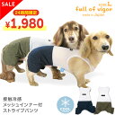 接触冷感メッシュインナー付ストライプパンツ(ダックス チワワ トイプードル 小型犬用)犬服 ドッグウェア