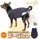 うんちキャッチ&おむつカバープーぱんつ(R)(ダックス・小型犬用)【ネコポス値2】介護 マナー シニア犬 犬服 おもらし 消臭