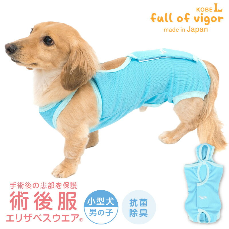 エリザベスカラー の代わりに 犬 服