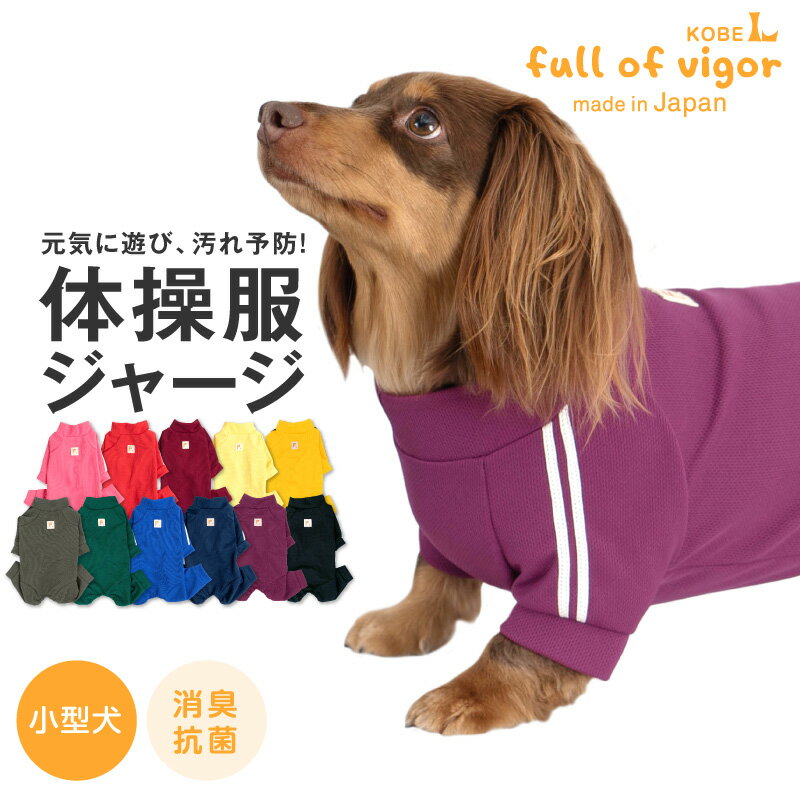 犬 服 春 夏 ドッグプレイ(R) 体操服 