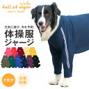 大型犬 服 春 夏 秋 冬 ドッグプレイ(R)体操服ジャージつなぎ(大型犬用)ゴールデンレトリバー ラブラドール スタンダードプードル 抗菌 防臭 UVカット ...