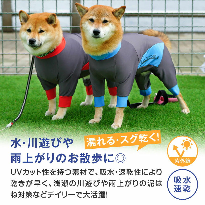 シャカシャカ 音がしない 犬 服 夏 春 伸びて 着せやすい ドッグプレイ(R) 撥水 レイン ラッシュガード ダックス 小型犬用 紫外線対策 UV対策 アウトドア 雨 レインコート レインウエア チワワ トイプードル ミニチュアダックス