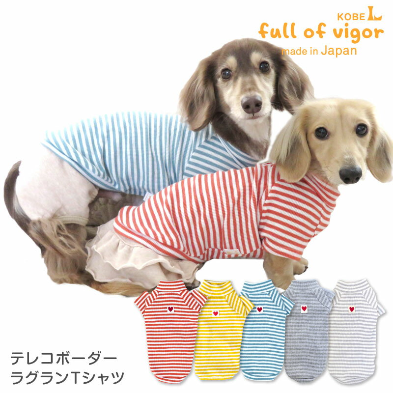 テレコボーダーラグランTシャツ(ダックス・小型犬用)犬服 ドッグウエア チワワ トイプードル ペット服 トレーナー タンクトップ 春 夏 秋 冬 犬猫の服 full of vigor フルオブビガーのサムネイル