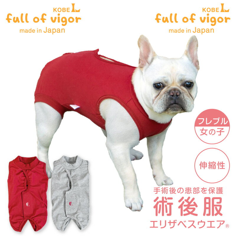 ꥶ٥顼  ե֥    ե֥ Ӥ 夻䤹 F. ٥ŷ Ѹ ꥶ٥(R) λ ...