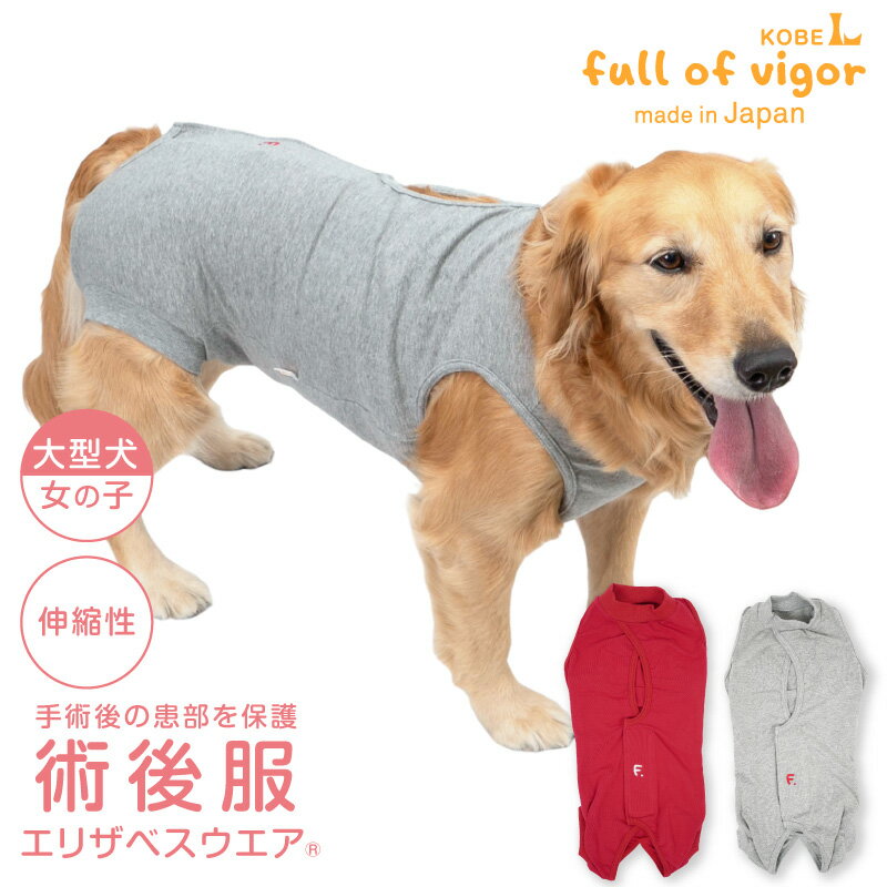 ꥶ٥顼  緿    緿 Ӥ 夻䤹 F. ٥ŷ Ѹ ꥶ٥(R) λ ...