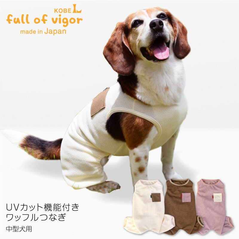 淿    淿 UVå ǽդ åե Ĥʤ ȴк µʤ ѡ 餫 Ƹ ӡ ʥ ...