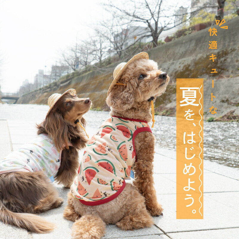 犬 服 バラエティ 柄 接触冷感 メッシュ タンク ダックス 小型犬用 抜け毛対策 タンクトップ 速乾 通気性 耐久性 紫外線対策 チワワ トイプードル ミニチュアダックス ダックスフンド 春 夏 袖なし