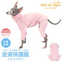 皮膚病 舐め対策 イタグレ 服 夏 春 イタグレ用 皮膚保護服 スキンウエア(R) 女の子用 傷舐め かきむしり 皮膚炎 抗菌 防臭静電気抑制 UVカット 速乾性 イタリアングレーハウンド イタグレ ウィペット 秋 冬 ひっかき 動物病院 獣医師