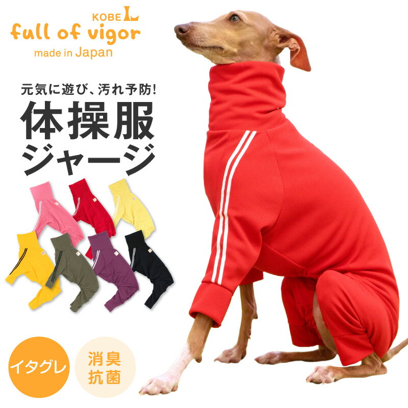 楽天市場】イタグレ 服(ドッグウェア|犬用品):ペット 楽天市場】イタグレ 服(ドッグウェア|犬用品):ペット