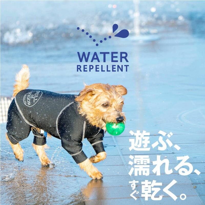 シャカシャカ 音がしない 犬 服 夏 春 伸びて 着せやすい ドッグプレイ(R) サークル プリント 撥水 レイン ラッシュガード ダックス 小型犬用 紫外線対策 UV対策 アウトドア 雨 レインコート レインウエア チワワ トイプードル