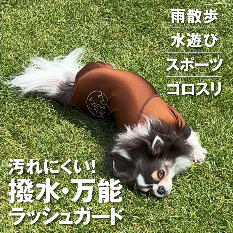 シャカシャカ 音がしない 犬 服 夏 春 伸びて 着せやすい ドッグプレイ(R) サークル プリント 撥水 レイン ラッシュガード ダックス 小型犬用 紫外線対策 UV対策 アウトドア 雨 レインコート レインウエア チワワ トイプードル