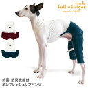 イタグレ 服 夏 春 イタグレ用 抗菌 防臭 機能付 オンフレッシュ リブ パンツ 抜け毛対策 パンツ ずれない イタリアングレーハウンド イタグレ ウィペット...