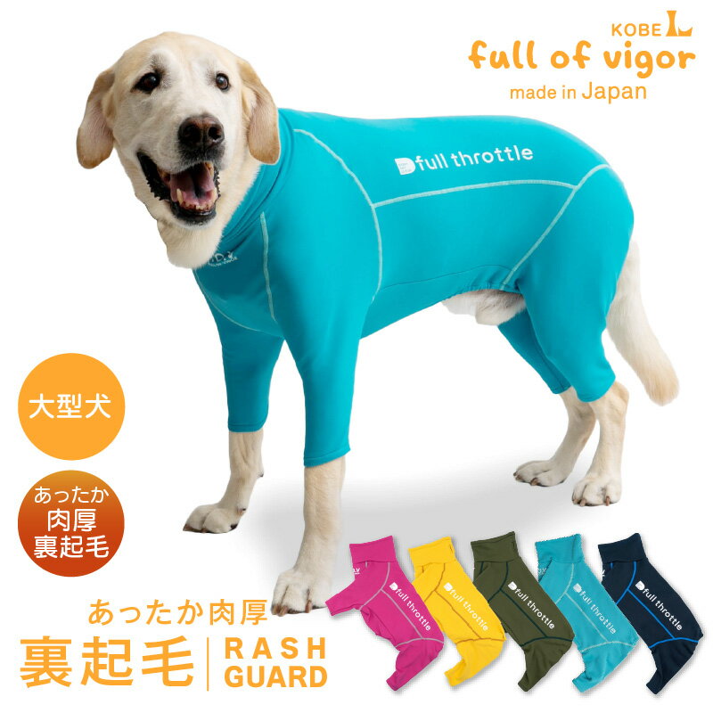 緿  緿 Ӥ 夻䤹 ɥåץ쥤(R) ΢ å奬 糰к UVк ȥɥ ɴ к ݲ...