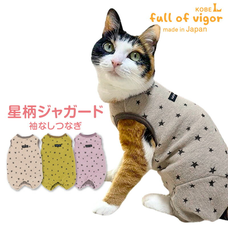 猫 服 過剰グルーミング 高齢 シニ�
