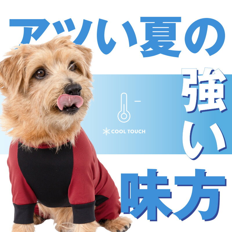 犬 服 夏 伸びて 着せやすい ドッグプレイ(R) 接触冷感 ストレッチ ハニカム ラッシュガード ダックス 小型犬用 紫外線対策 UV対策 アウトドア 冷感 ひんやり クール 夏用冷感服 UVカット 散歩 チワワ トイプードル ミニチュアダックス