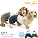 接触冷感メッシュインナー付ストライプパンツ