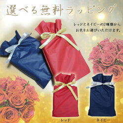 【ハンドタオル付!】【送料無料】【選べる無料ラッピング】コラントッテネックレスルーチェColantotteLUCE