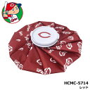 【2025モデル】広島東洋カープ HCMC-5714 アイスバッグ レッド 氷のう 氷嚢 アイシング ゴルフ HIROSHIMA TOYO CARP LEZAX(4)