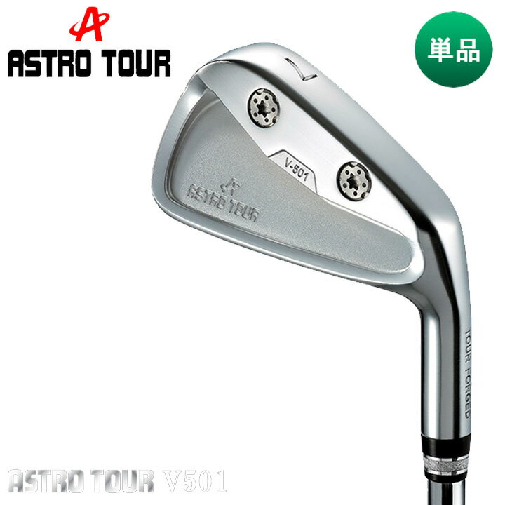 アストロ ゴルフ アストロツアー V501 アイアン 単品（#5,AW）　シャフト：NS950GH/ダイナミックゴールド スチール ASTRO TOUR V501 1