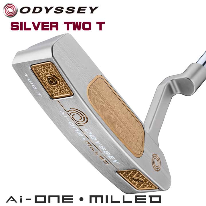 AI-ONE MILLED SILVER TWO T CH �p�^�[ [34�C���`]