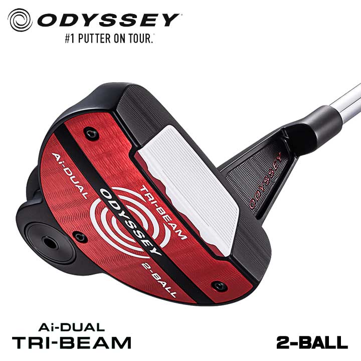 Ai-DUAL TRI-BEAM 2-BALL �p�^�[ [33�C���`]