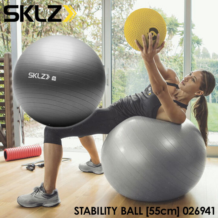 【2017モデル】スキルズ 026941 スタビリティボール 55cm ライトグレー バランスボール STABILITY BALL SKLZ