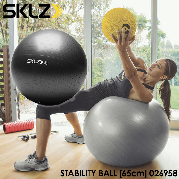 【2017モデル】スキルズ 026958 スタビリティボール 65cm ダークグレー バランスボール STABILITY BALL SKLZ