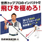 Lynx リンクス ゴルフ ダワ筋スティック プロ スイング練習器 プロモデル ダワキン DAWAKIN STICK