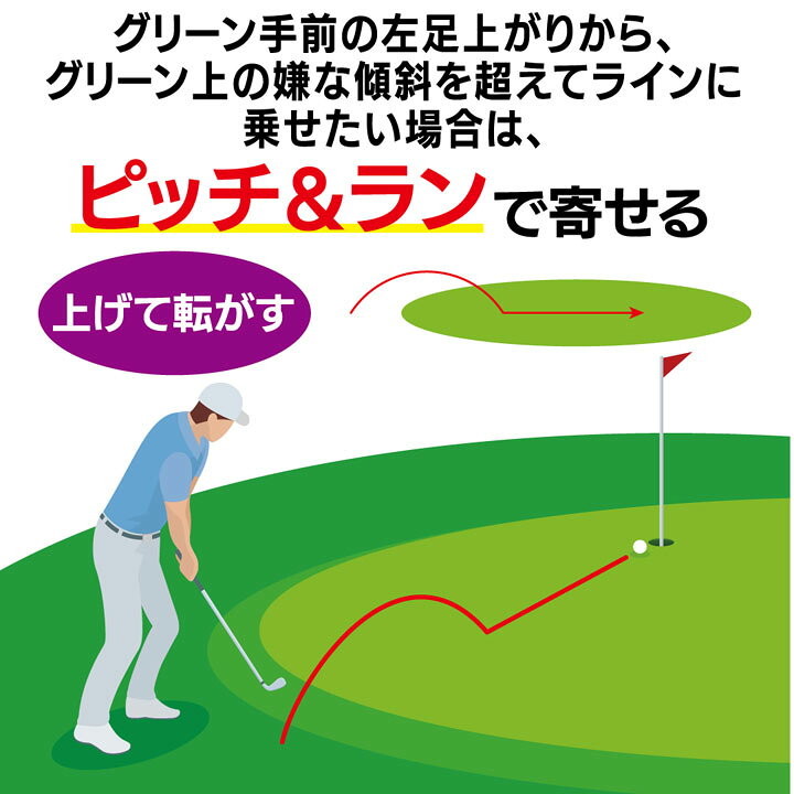 【レディース】kasco ドルフィン ピッチ＆ラン ウェッジ DPW-225(48度) レディスス...
