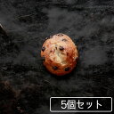 プチパンチョコ 5個セット フランスパン