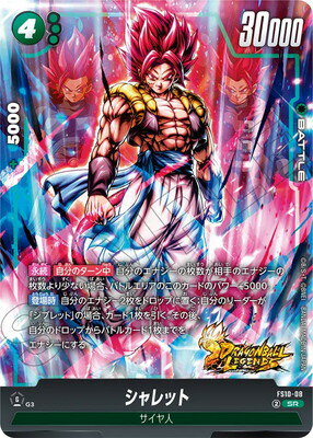 ե륢إåɤ㤨֥ե塼 FS10-08 å SRפβǤʤ90ߤˤʤޤ