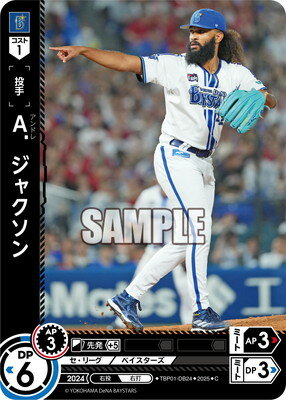 ɥ꡼४ TBP01-DB24 A㥯 C