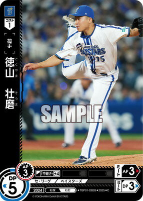 ɥ꡼४ TBP01-DB28  C