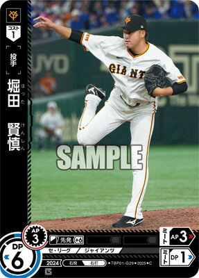 ե륢إåɤ㤨֥ɥ꡼४ TBP01-G29 ġ CפβǤʤ40ߤˤʤޤ