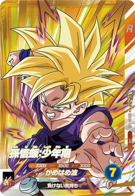 dbsd-pr-sdvzv-002.jpg dbsd-pr-sdvzv-002.jpg