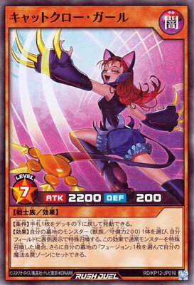 ͷåǥ奨 RDKP12-JP016 åȥڥѡ쥢