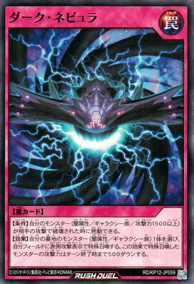 ͷåǥ奨 RDKP12-JP059 ͥӥ
